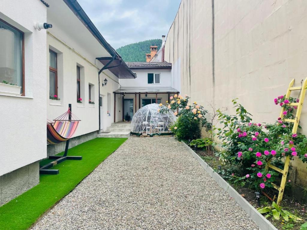 Schei Brasov-Скей Брашов Apartment ภายนอก รูปภาพ